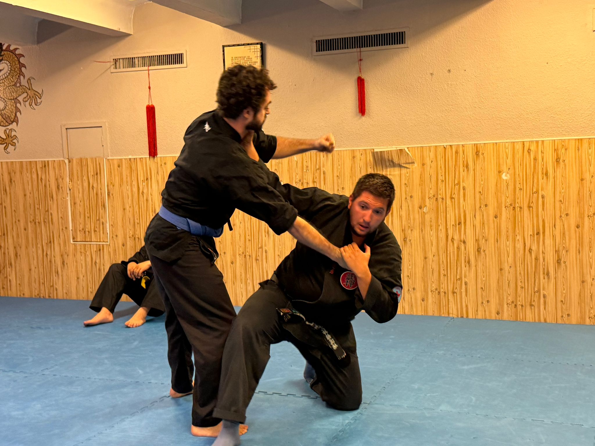 bujinkan alex